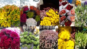 florist in bandra west shree ganesh florist shop in bandra 10